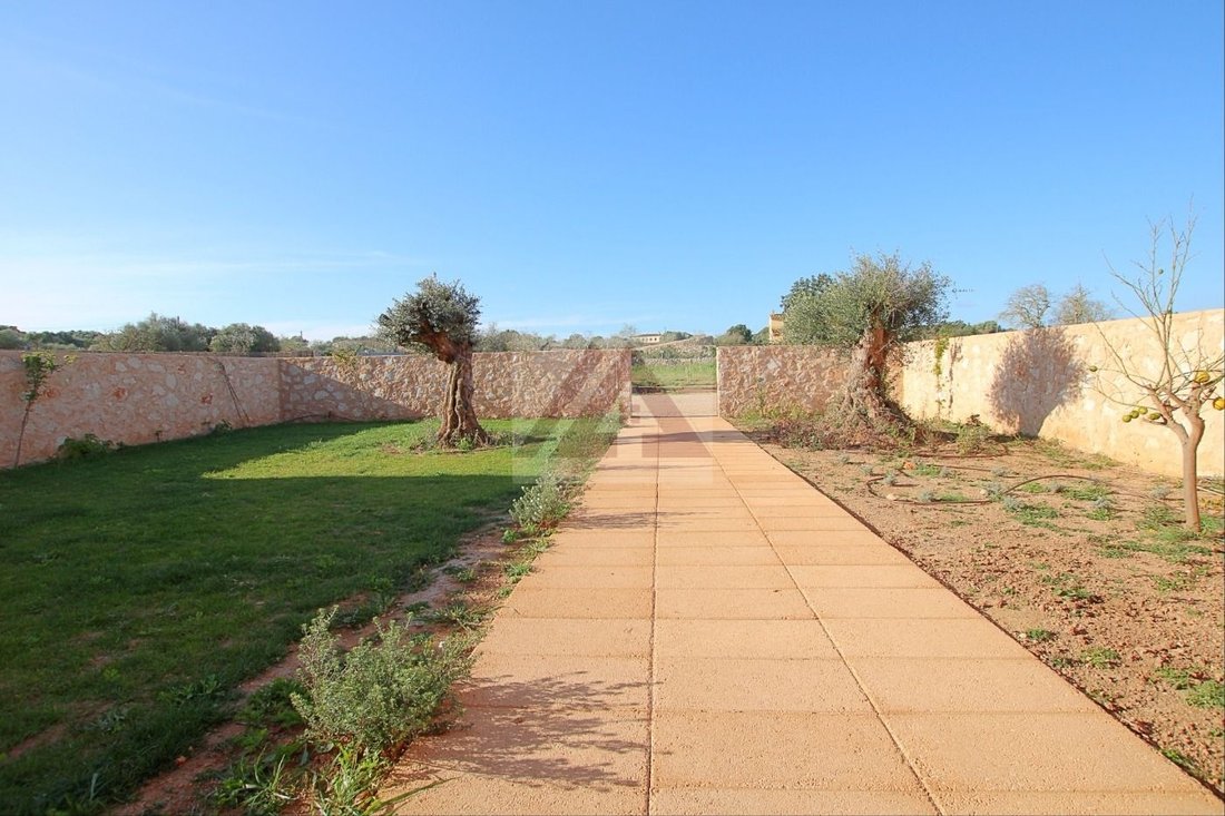 Villa in Santanyi, Balearic Islands, Spain 5 - 17531960
