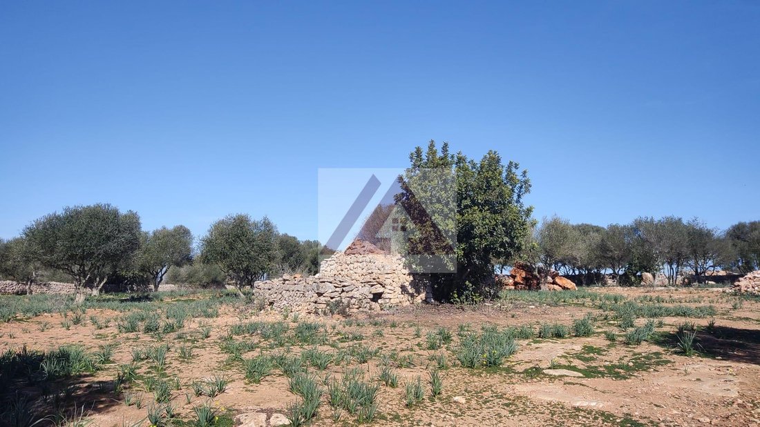 Land in es Llombards, Santanyi, Balearic Islands 1 - 17530691