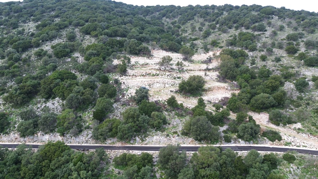 Land in Community of Spartochori, Peloponnese, Western Greece and the Ionian, Greece 4 - 17530773