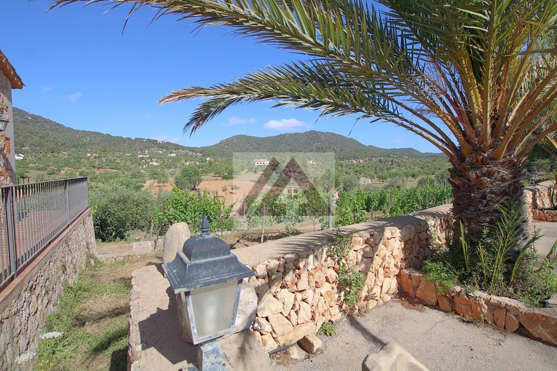 Country House in Felanitx, Balearic Islands, Spain 4 - 17531666