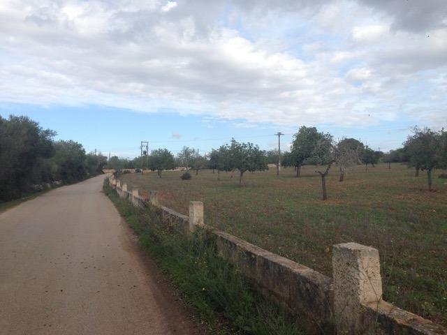 Land in Felanitx, Balearic Islands, Spain 3 - 17530726