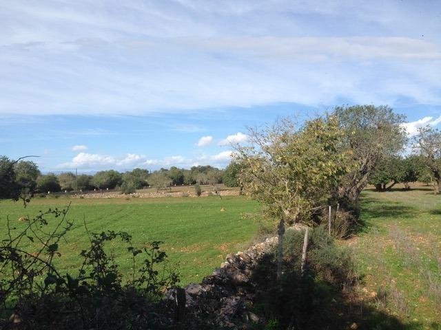Land in Felanitx, Balearic Islands, Spain 1 - 17530726