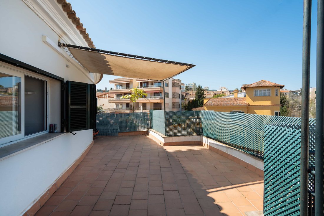 Apartment in Palma, Balearic Islands, Spain 1 - 17502532