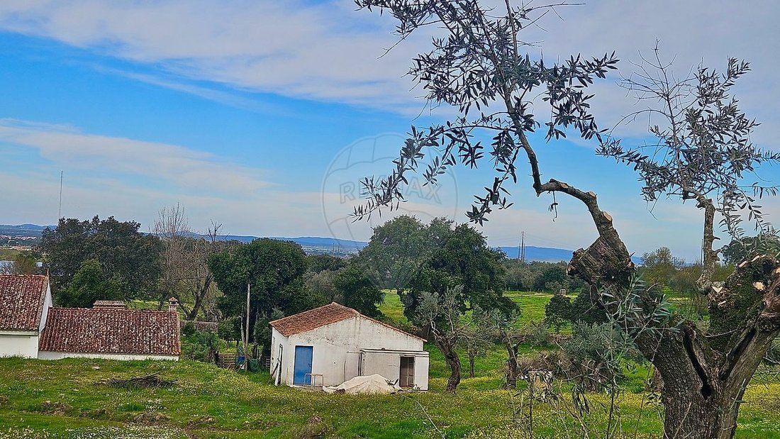 Finca en Malagueira e Horta das Figueiras, Distrito de Évora, Portugal 2 - 17531562
