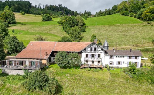 Villa in Robache-Marzelay-La Pêcherie-Le Ville, Saint-Die-des-Vosges, France 1