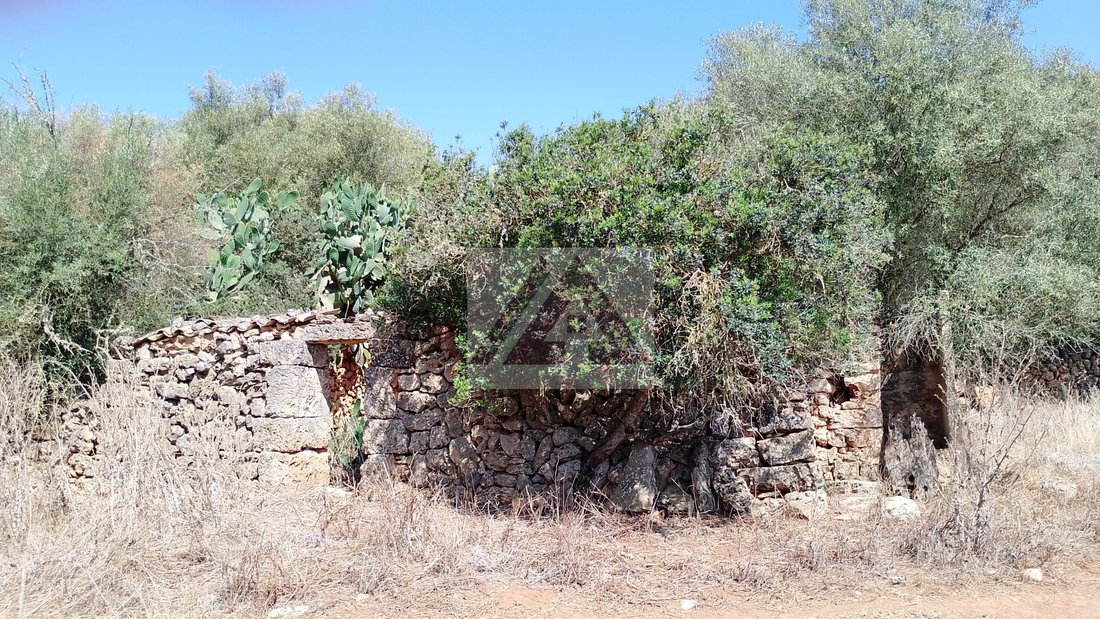 Land in Felanitx, Balearic Islands, Spain 2 - 17530677