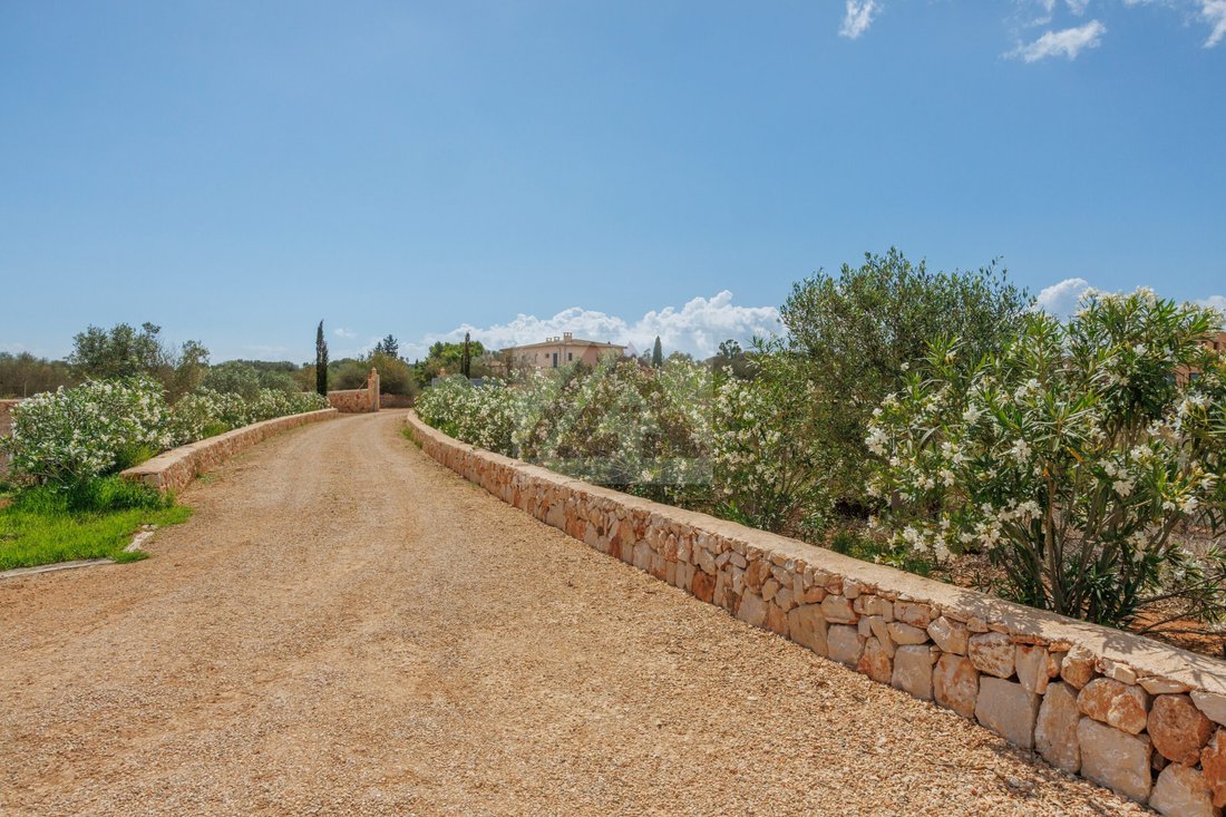 Villa in Santanyi, Balearic Islands, Spain 3 - 17531920