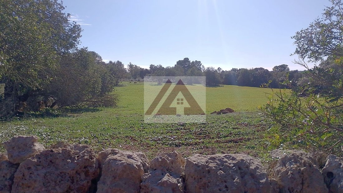 Land in Felanitx, Balearic Islands, Spain 5 - 17530720
