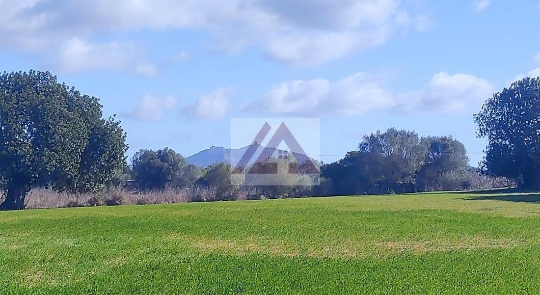 Land in Felanitx, Balearic Islands, Spain 1 - 17530599