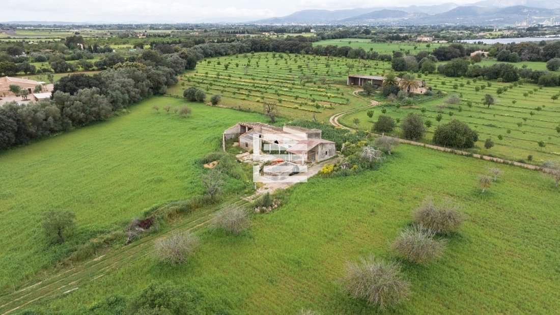 Land in Binissalem, Balearic Islands, Spain 4 - 17530558