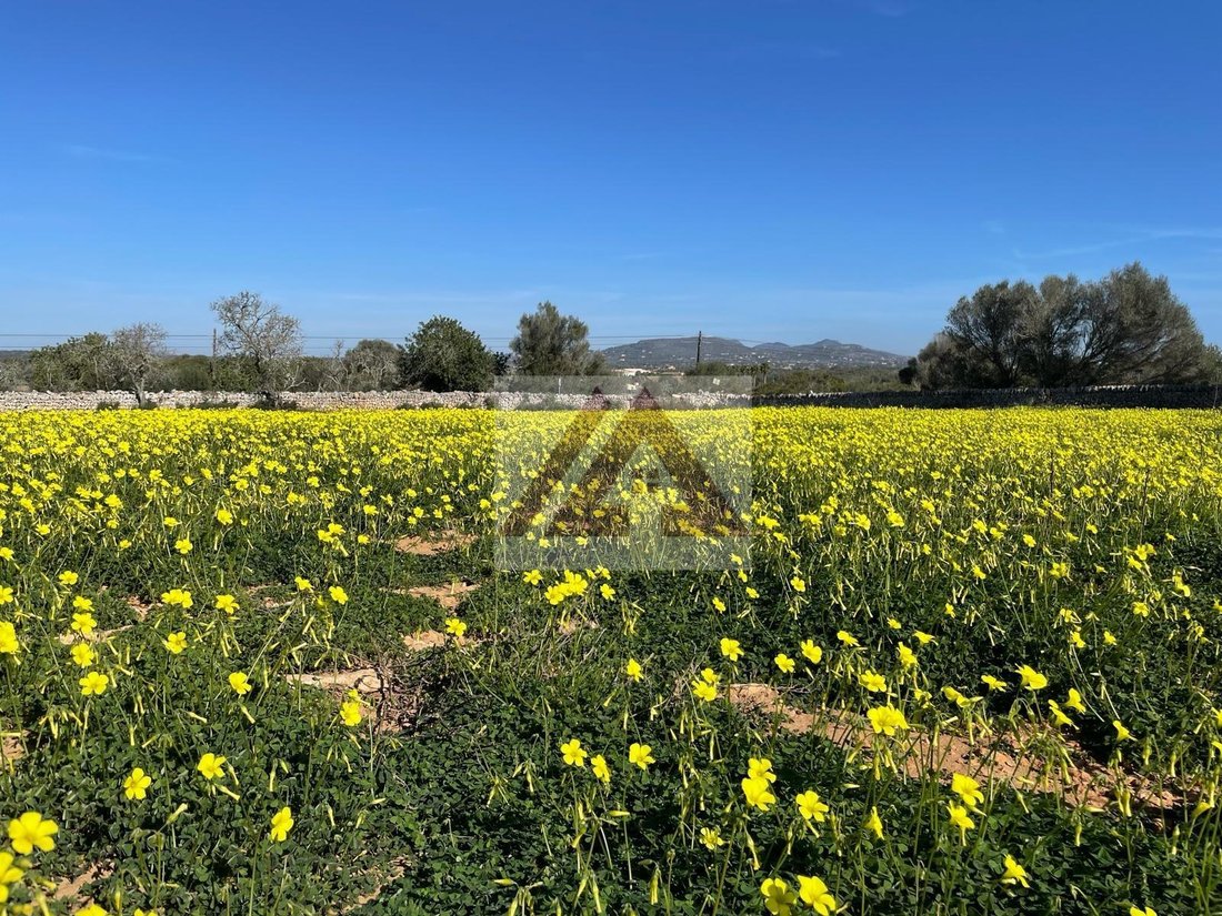 Land in es Llombards, Santanyi, Balearic Islands 3 - 17530691
