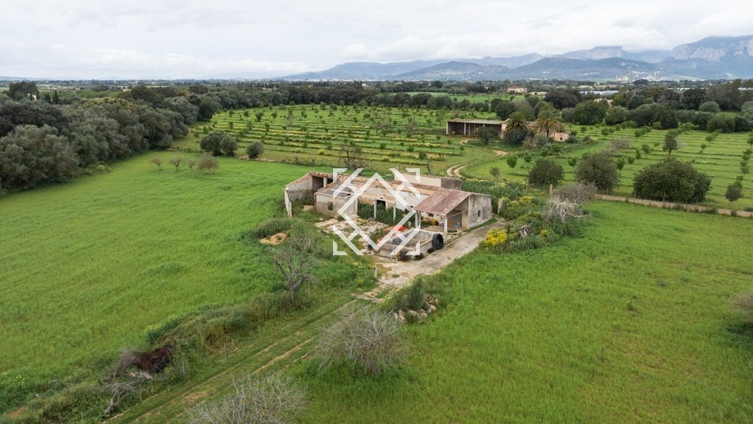 Finca in Binissalem, Balearic Islands, Spain 1 - 17531363