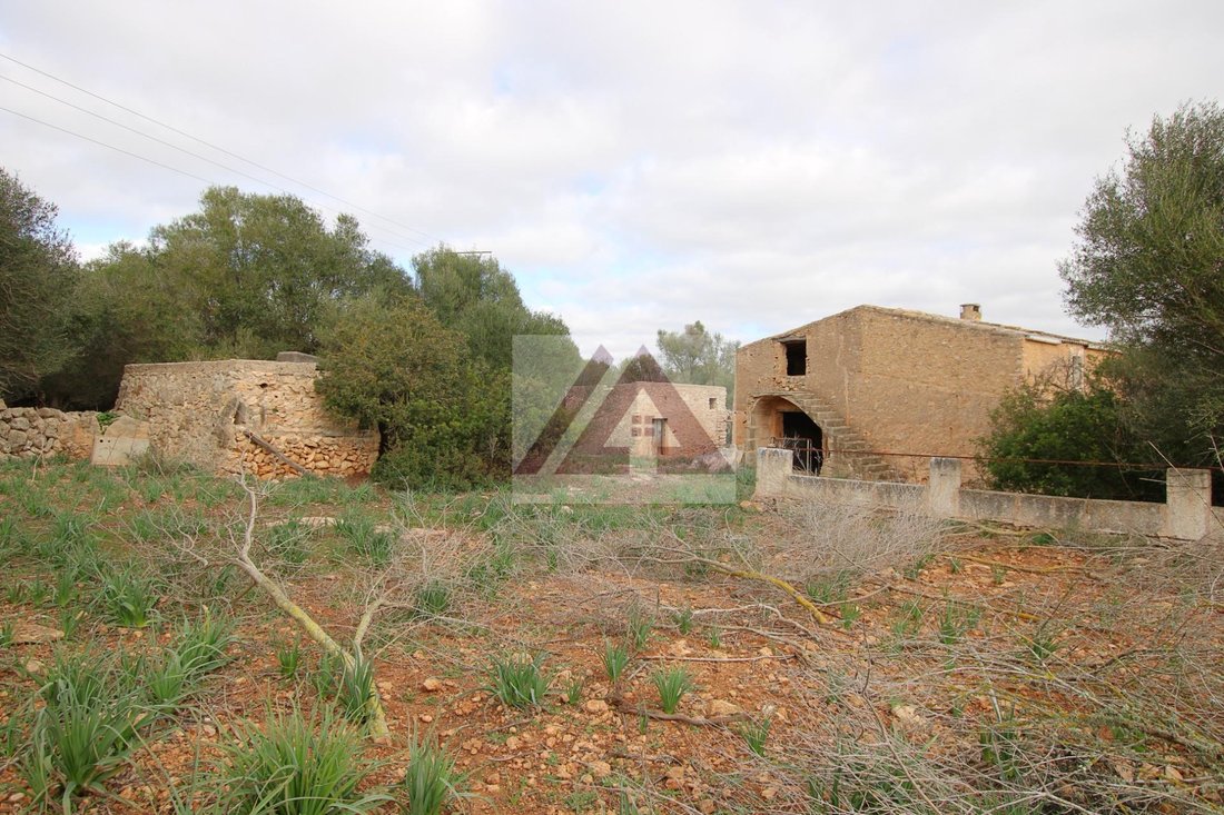 Country House in Manacor, Balearic Islands, Spain 5 - 17531707