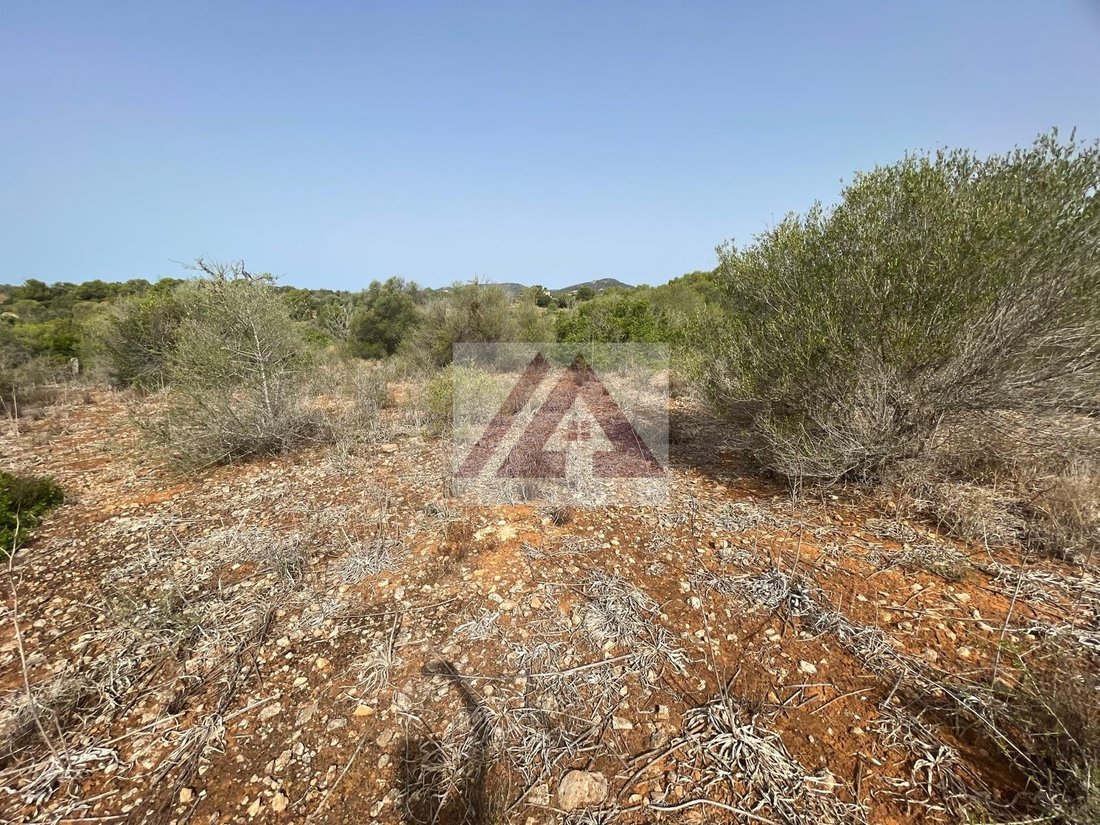 Land in Santanyi, Balearic Islands, Spain 4 - 17530701