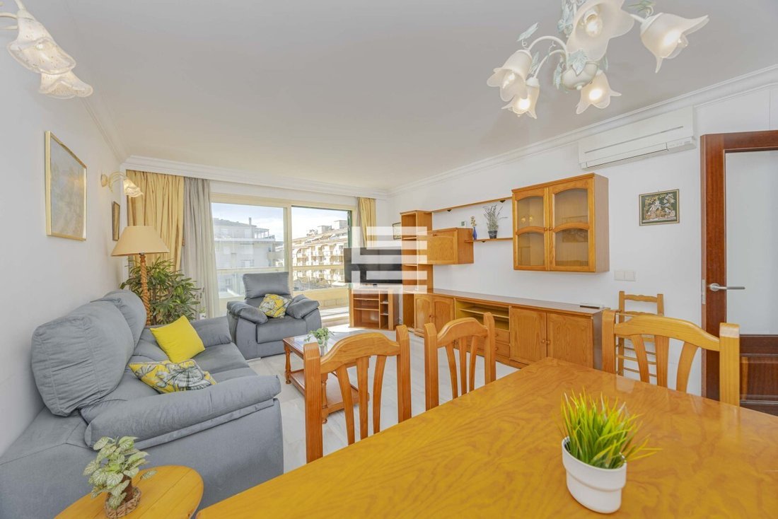 Apartment in Alcudia, Balearic Islands, Spain 2 - 17531888