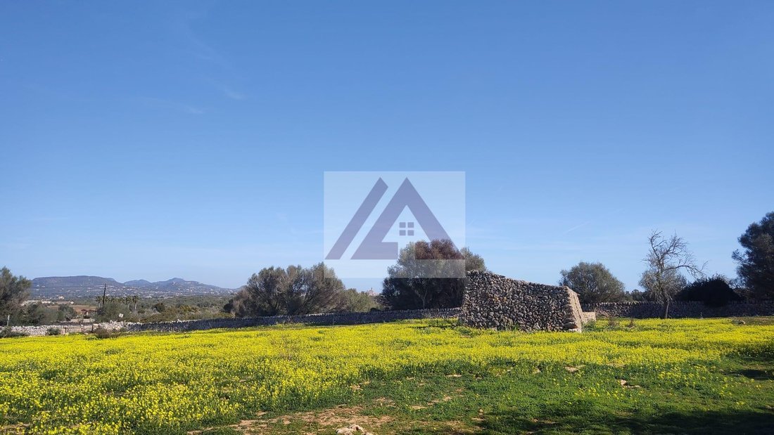 Land in es Llombards, Santanyi, Balearic Islands 5 - 17530691