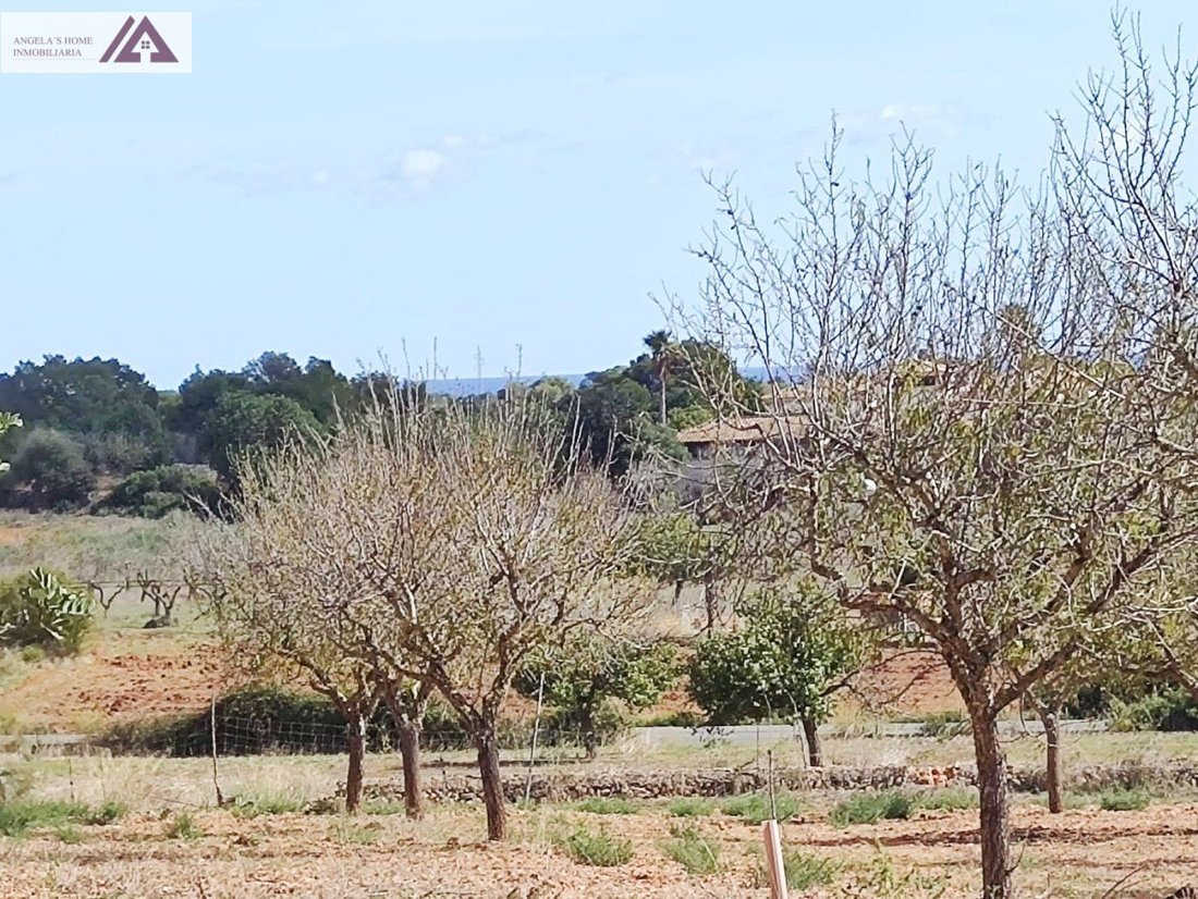 Land in Santanyi, Balearic Islands, Spain 3 - 17530610