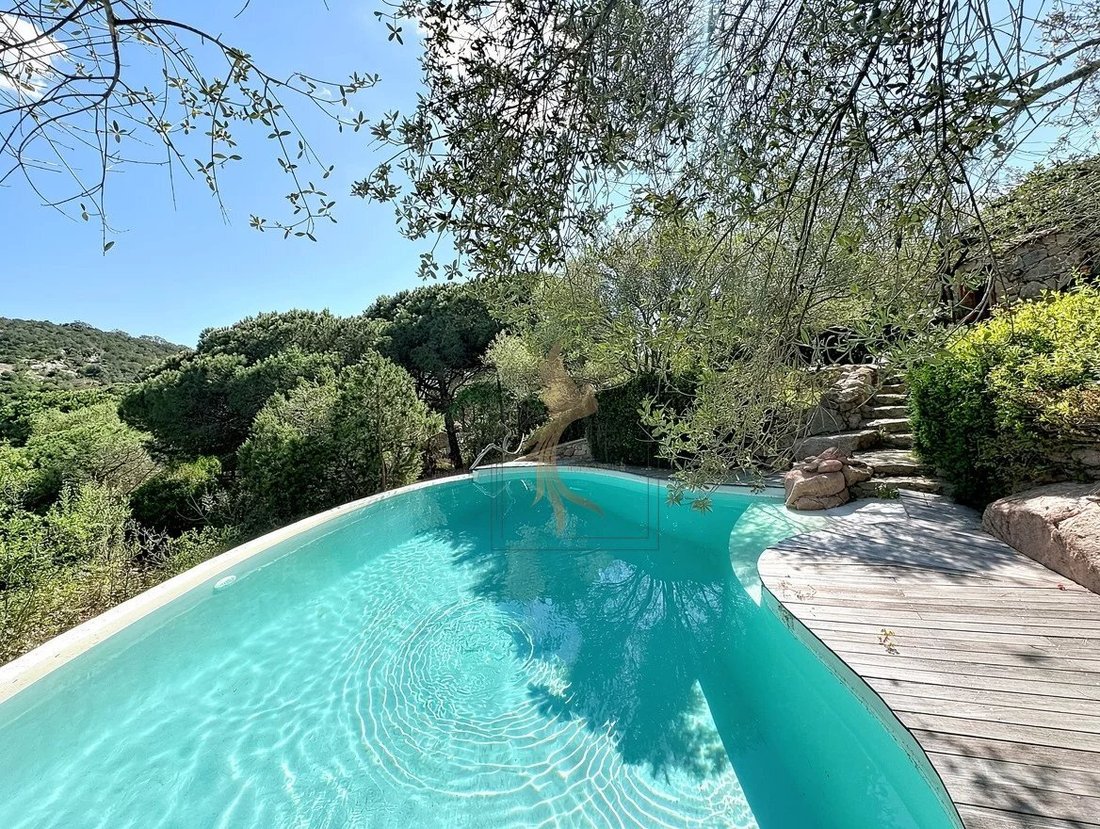 House in Porto-Vecchio, Corsica, France 3 - 17531994