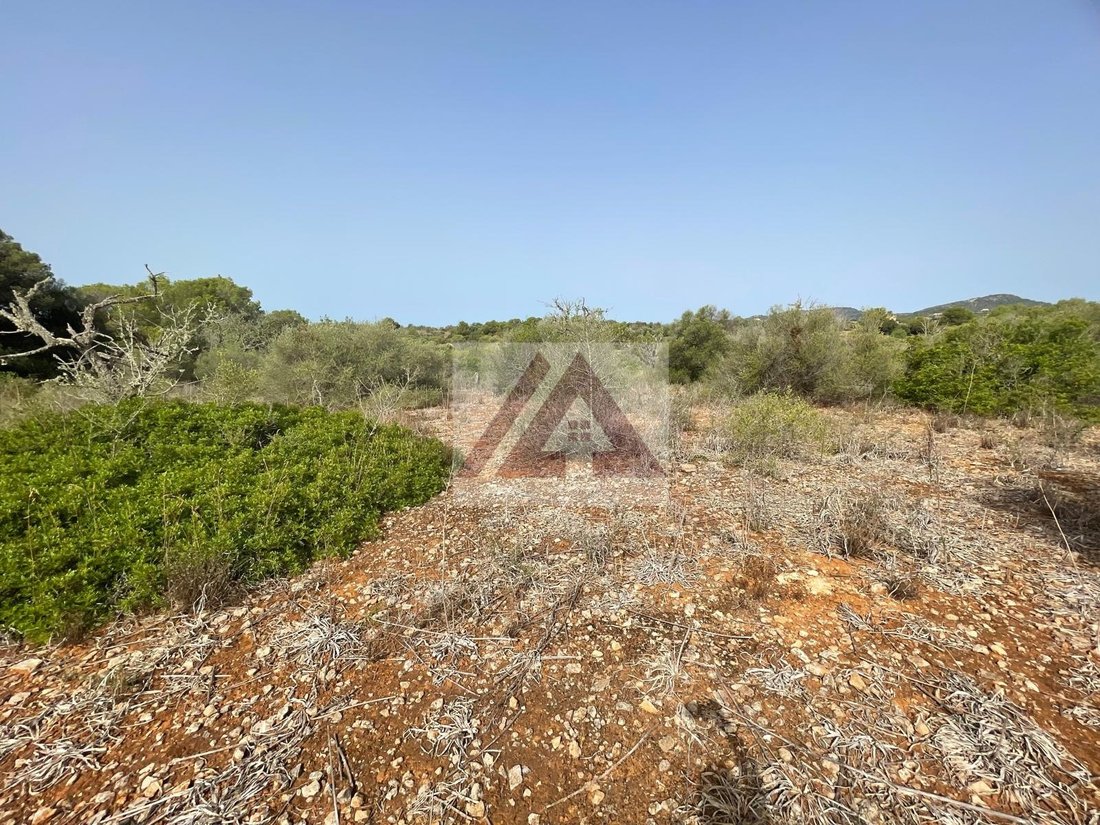 Land in Santanyi, Balearic Islands, Spain 2 - 17530701
