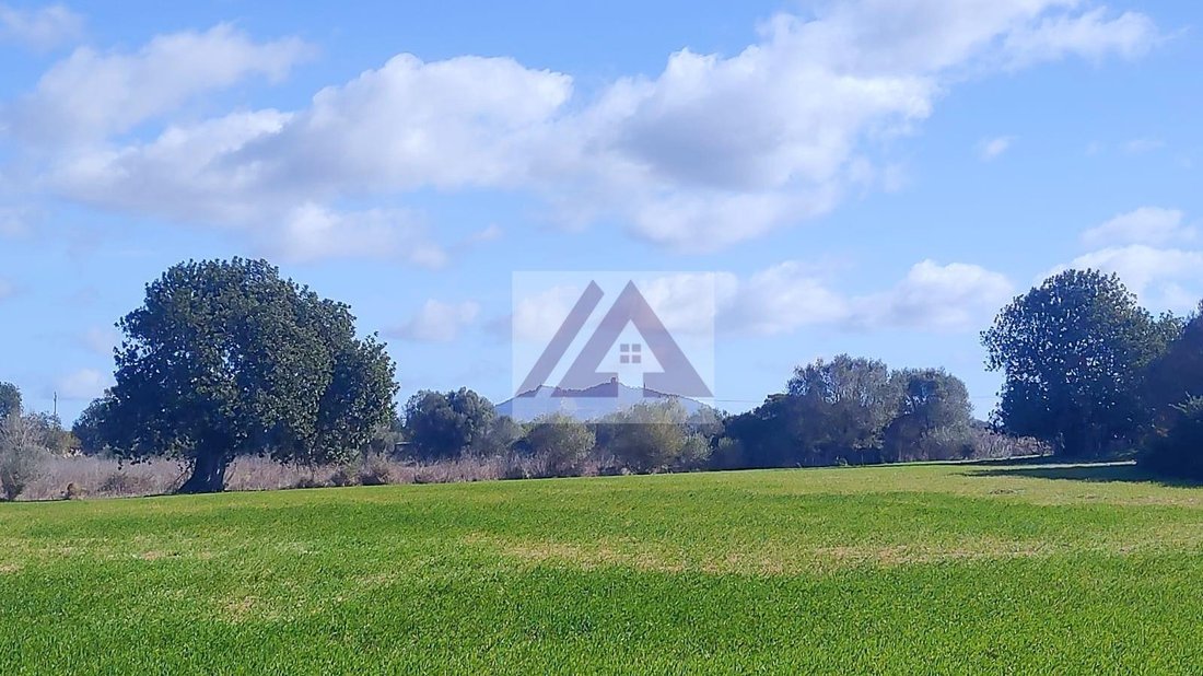 Land in Felanitx, Balearic Islands, Spain 4 - 17530599