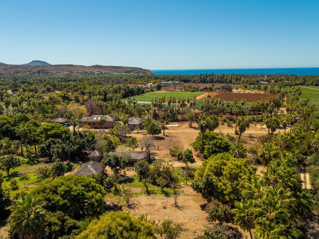 Farm Ranch in Todos Santos, Baja California Sur, Mexico 1 - 17532485