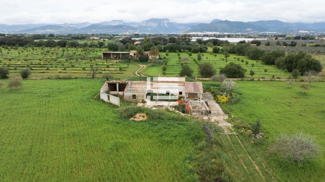 Land in Binissalem, Balearic Islands, Spain 1 - 17530558