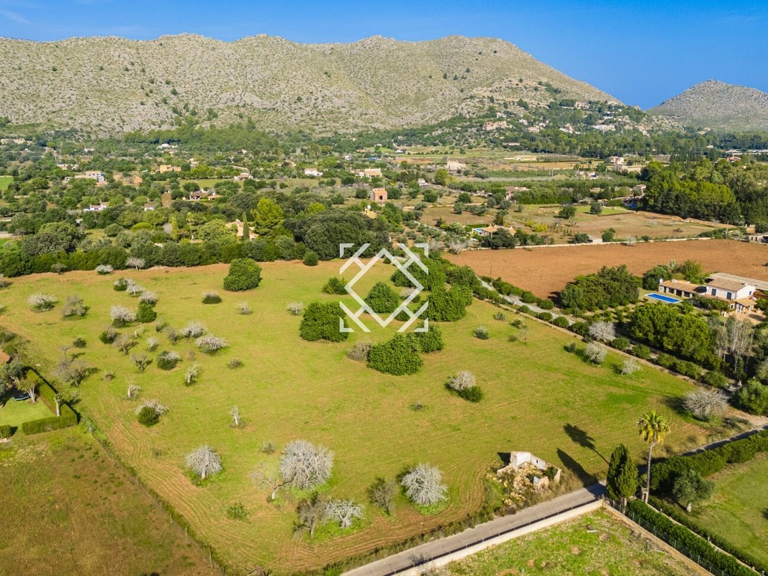 Land in Pollenca, Balearic Islands, Spain 3 - 17530722