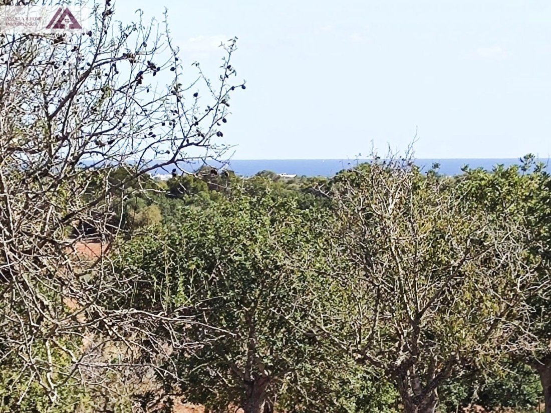 Land in Santanyi, Balearic Islands, Spain 2 - 17530610