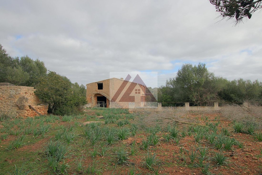 Country House in Manacor, Balearic Islands, Spain 3 - 17531707