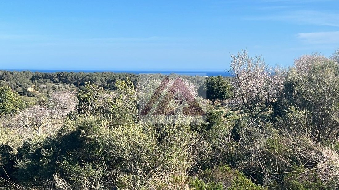 Land in Cala Murada, Manacor, Balearic Islands 1 - 17530650