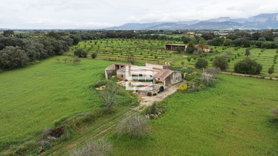 Land in Binissalem, Balearic Islands, Spain 2 - 17530558