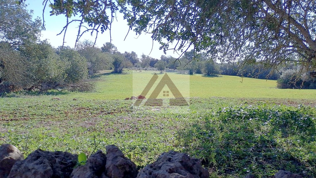 Land in Felanitx, Balearic Islands, Spain 3 - 17530720