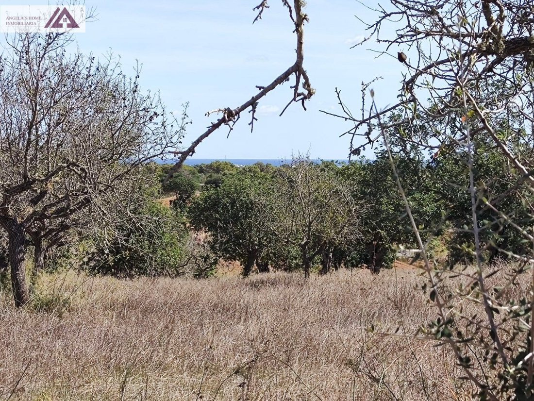 Land in Santanyi, Balearic Islands, Spain 4 - 17530610