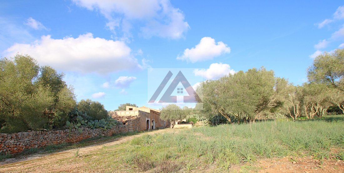 Country House in Campos, Balearic Islands, Spain 3 - 17531487