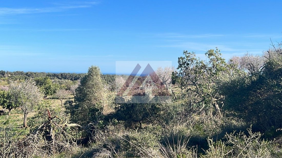 Land in Cala Murada, Manacor, Balearic Islands 2 - 17530650