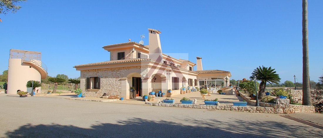 Villa in Manacor, Balearic Islands, Spain 5 - 17531941