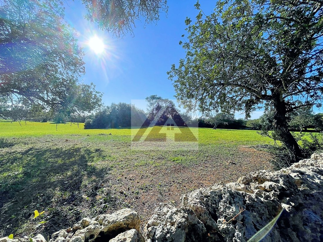 Land in Felanitx, Balearic Islands, Spain 1 - 17530720