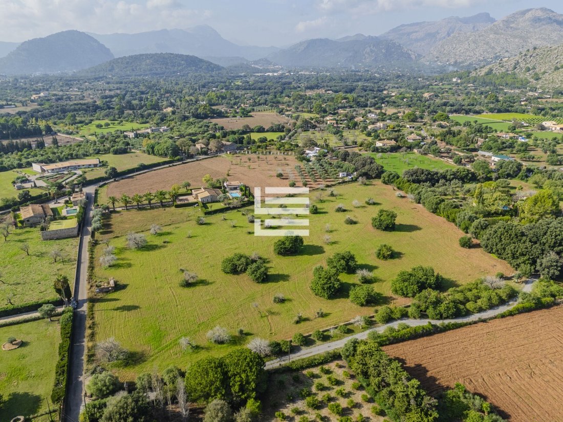 Land in Pollenca, Balearic Islands, Spain 5 - 17530605