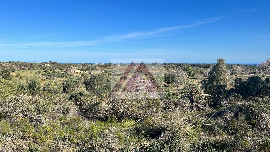 Land in Cala Murada, Manacor, Balearic Islands 3 - 17530650