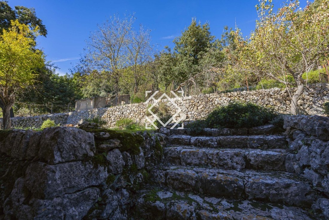 Finca in Escorca, Balearic Islands, Spain 5 - 17530954