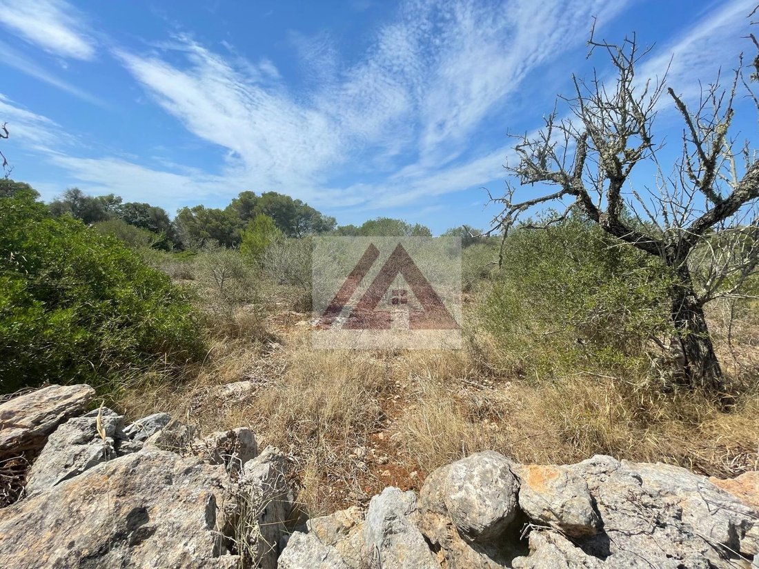 Land in Santanyi, Balearic Islands, Spain 1 - 17530701