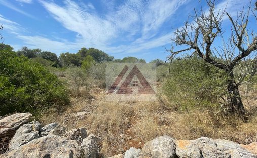 Land in Santanyi, Balearic Islands, Spain 1