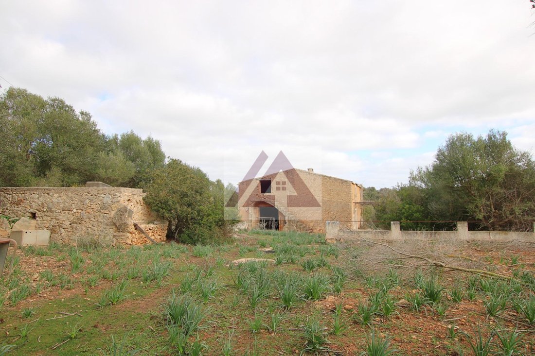 Country House in Manacor, Balearic Islands, Spain 4 - 17531707
