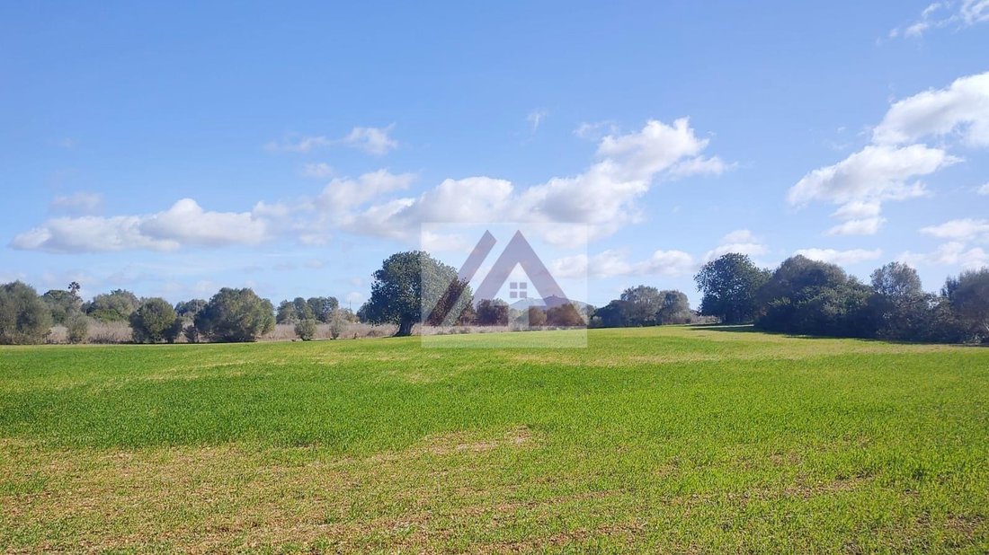 Land in Felanitx, Balearic Islands, Spain 2 - 17530599