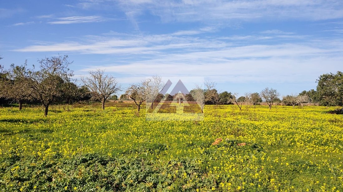 Land in Portocolom, Felanitx, Balearic Islands 1 - 17530717