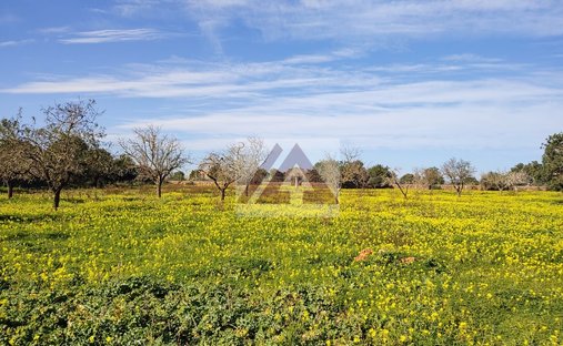 Land in Portocolom, Felanitx, Balearische Inseln 1