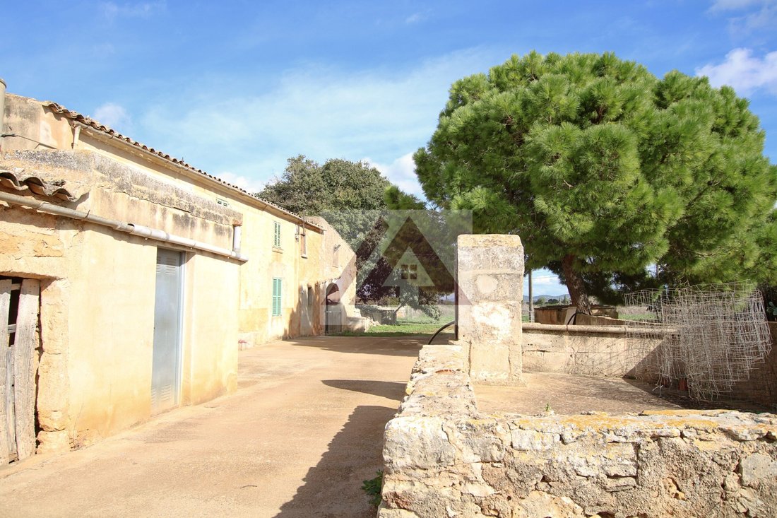 Country House in Felanitx, Balearic Islands, Spain 4 - 17531439