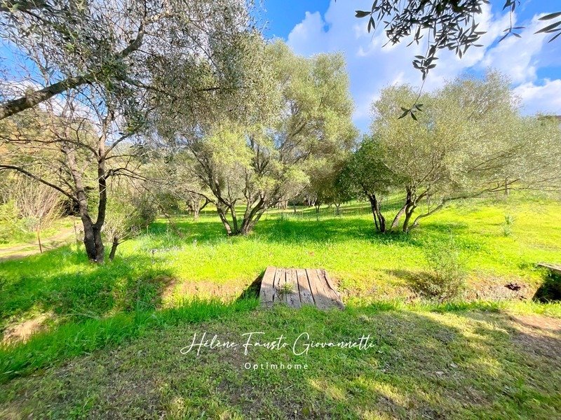 House in Oletta, Corsica, France 3 - 17534646