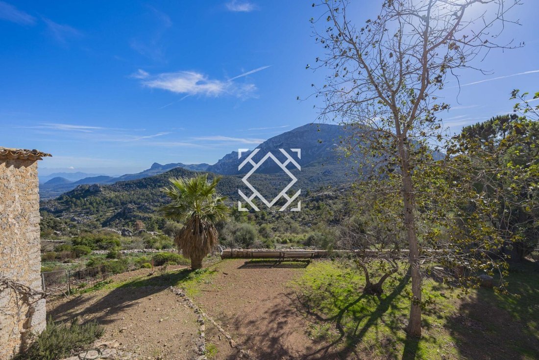 Finca in Escorca, Balearic Islands, Spain 2 - 17530954