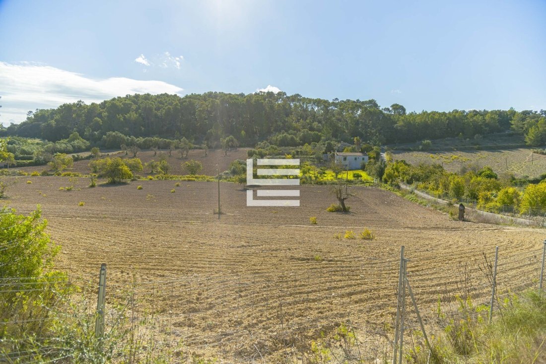 Finca in Costitx, Balearic Islands, Spain 5 - 17531367